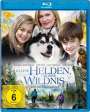 Richard Boddington: Kleine Helden, grosse Wildnis (Blu-ray), BR