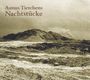 Asmus Tietchens: Nachtstücke (180g), LP