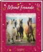 : Freundebuch - Pferdefreunde - Meine Freunde, Buch