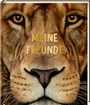 : Freundebuch - Meine Freunde, Buch