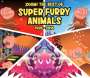 Super Furry Animals: Zoom! The Best Of Super Furry Animals (Explicit), CD,CD