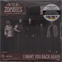 The Zombies: I Want You Back Again, SIN