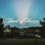 Band Of Horses: Things Are Great (Translucent Rust Vinyl), LP