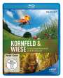 Jan Haft: Kornfeld und Wiese (Blu-ray), BR