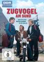 Hans Knötzsch: Zugvogel am Sund, DVD