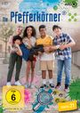 Philipp Scholz: Die Pfefferkörner Staffel 21, DVD,DVD