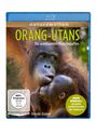 Jens Westphalen: Orang-Utans - Die unbekannten Menschenaffen (Blu-ray), BR