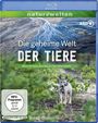 Axel Gebauer: Die geheime Welt der Tiere (Blu-ray), BR