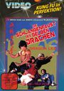 Texte: "VIDEO", "KUNG FU in PERFEKTION!", "DIE SCHLANGENFAUST DES GELBEN DRACHEN", "DRAGON LEE". Kung Fu Illustration.