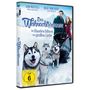 "Kim Matula, Beau Mirchoff. 'Das Weihnachtsrennen: Im Hundeschlitten zur großen Liebe.' Vier Huskys und ein Paar im Schnee."