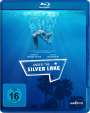 David Robert Mitchell: Under the Silver Lake (Blu-ray), BR