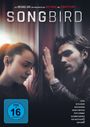 Adam Mason: Songbird, DVD