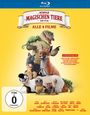 "Die Schule der magischen Tiere - Der Film. Alle 4 Filme, FSK ab 0 freigegeben." Verschiedene sprechende Tiere.
