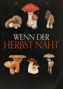 Francois Ozon: Wenn der Herbst naht, DVD
