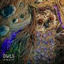: Owls - Rare Birds, CD