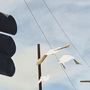 Drei weiße Tauben fliegen vor wolkigem Himmel. Links ein dunkles Ampelgehäuse, dahinter Telefonleitungen.
