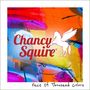 "Chancy Squire" in roter Schrift, darunter ein geflügeltes Pferdelogo. Bunter, abstrakter Hintergrund in kräftigen Farben.