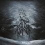 Old Wainds: Stormheart (CD), CD