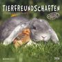 : Tierfreundschaften 2026 - Broschürenkalender 30x30 cm (30x60 geöffnet) - Kalender mit Platz für Notizen - Animal Friendships - Bildkalender - Planer, KAL