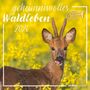 : Geheimnisvolles Waldleben 2026 - Broschürenkalender 30x30 cm (30x60 geöffnet) - Kalender mit Platz für Notizen - Forest Animals - Bildkalender - Wandkalender, KAL