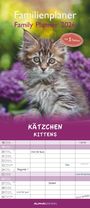 : Kätzchen 2026 Familienplaner - Familienkalender - Wandkalender - 19,5x45, KAL