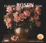 : Geliebte Rosen 2026 - DUMONT Wandkalender - mit allen wichtigen Feiertagen - Format 38,0 x 35,5 cm, KAL