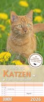 : Dumonts Katzen Kalender - Familienplaner im Format 19,5 x 45, KAL