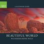 : GEO Beautiful World 2026 - Wand-Kalender - Natur-Kalender - Broschüren-Kalender - 30x30 - 30x60 geöffnet, KAL