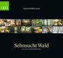 : GEO Kalender: Sehnsucht Wald 2026 - Wand-Kalender - Natur-Kalender - 60x55, KAL