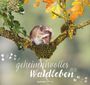 : Geheimnisvolles Waldleben, KAL