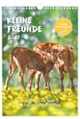 "Kleine Freunde 2027. Zwei Herzen, eine Seele – pure Freundschaft in jedem Blick!" Zwei Kälber stehen nah beieinander auf einer Wiese.
