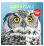 "Eulen Owls", "Plus Bucket List", "2027". Großaufnahme einer Eule mit gelben Augen vor blauem Hintergrund.