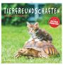 „TIERFREUNDSCHAFTEN“ steht oben, „PLUS EXTRA POSTER“ auf einem roten Kreis. Eine Katze sitzt auf einer Schildkröte.
