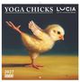 „YOGA CHICKS“, „LUCIA“, „2027 DUMONT“. Eine Illustration: Ein Küken balanciert auf einem Bein in einer Yoga-Pose.
