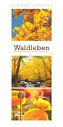 "Waldleben. Unterwegs in heimischen Wäldern – Kalender 2027". Oben gelbes Laub, darunter Bach im Wald, unten Blüten.
