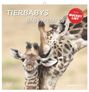 Text: "Tierbabys", "Baby Animals", "Plus Bucket List", "2027". Ein kleines und ein großes Giraffenjunges schmusen.