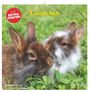 Text: "Kaninchen RABBITS", "PLUS EXTRA POSTER", "2027". Zwei flauschige Kaninchen kuscheln im Gras.