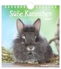 "Süße Kaninchen 2027" steht oben. Ein flauschiges, graues Kaninchen sitzt auf einer natürlichen Unterlage.