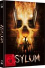 David R. Ellis: Asylum (2008) (Blu-ray & DVD im Mediabook), BR,DVD