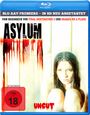 David R. Ellis: Asylum (2008) (Blu-ray), BR