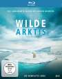 Andrew Zikking: Wilde Arktis (Blu-ray), BR,BR