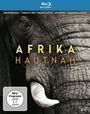 : Afrika hautnah (Blu-ray), BR,BR
