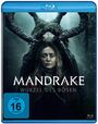 Lynne Davison: Mandrake - Wurzel des Bösen (Blu-ray), BR