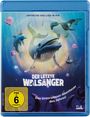 Reza Memari: Der letzte Walsänger (Blu-ray), BR