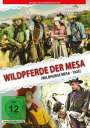 George B. Seitz: Wildpferde der Mesa, DVD