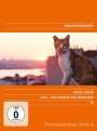 Ceyda Torun: Kedi - Von Katzen und Menschen, DVD