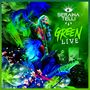 Text: "SERAINA TELLI GREEN LIVE." Zwei Sängerinnen mit Mikrofon, bunte Blumen und Gitarren, grüne Blätter im Hintergrund.