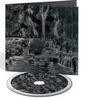 Text: "Cracker Island". Eine CD-Hülle zeigt eine mystische Landschaft mit Wasserfällen und einem Teich.