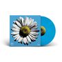 „Heart of Gold“, „Vol. 2“, „Out of the Blue“. Illustration einer Gänseblümchenblüte auf blauem Hintergrund.