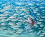 : Fischschwärme 2025 - Unterwasser-Natur-Fotografie - Wandkalender 60 x 50 cm - Spiralbindung, KAL